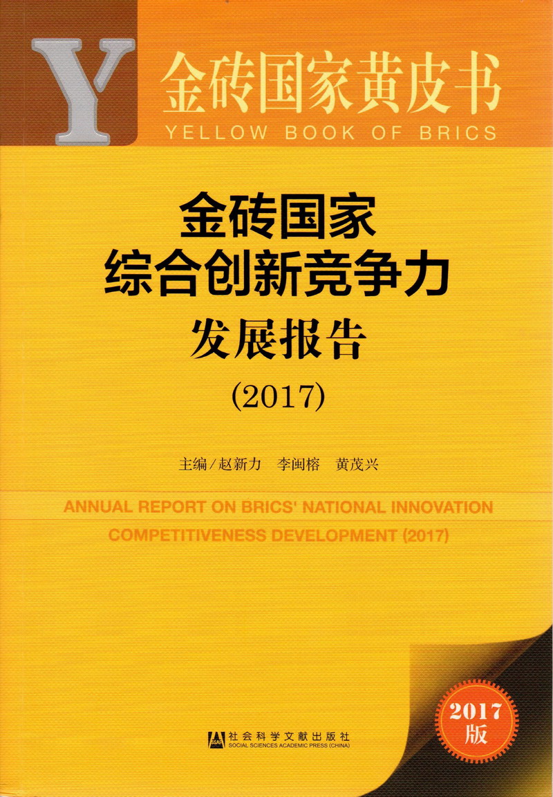 操屄视频大鸡巴金砖国家综合创新竞争力发展报告（2017）